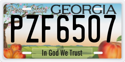 GA license plate PZF6507