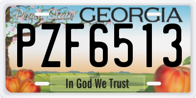 GA license plate PZF6513