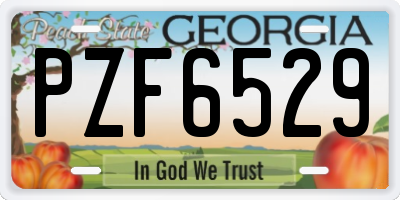 GA license plate PZF6529