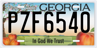 GA license plate PZF6540