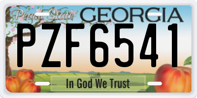 GA license plate PZF6541