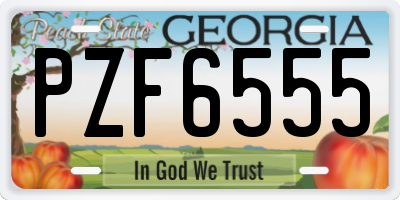 GA license plate PZF6555