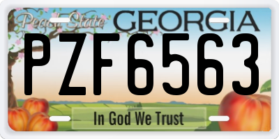 GA license plate PZF6563