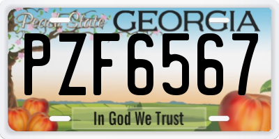 GA license plate PZF6567