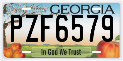 GA license plate PZF6579