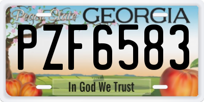 GA license plate PZF6583