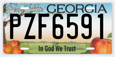 GA license plate PZF6591