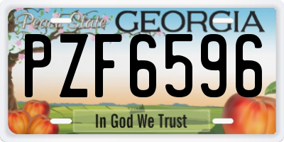 GA license plate PZF6596
