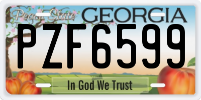 GA license plate PZF6599