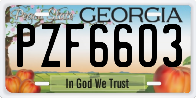 GA license plate PZF6603