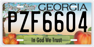 GA license plate PZF6604