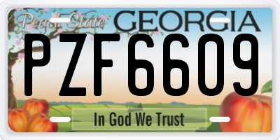 GA license plate PZF6609