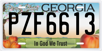 GA license plate PZF6613