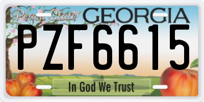 GA license plate PZF6615