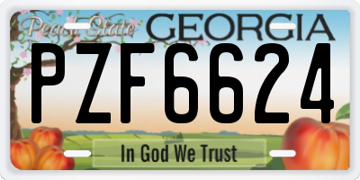 GA license plate PZF6624