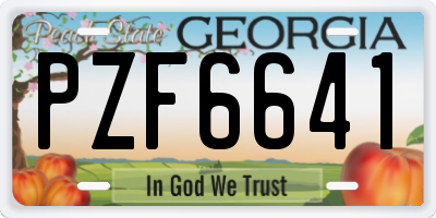 GA license plate PZF6641