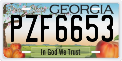 GA license plate PZF6653