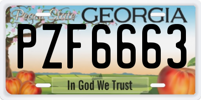 GA license plate PZF6663