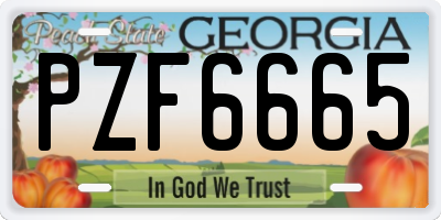 GA license plate PZF6665