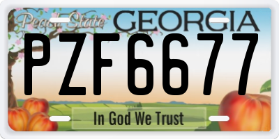 GA license plate PZF6677