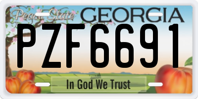 GA license plate PZF6691