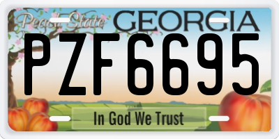 GA license plate PZF6695