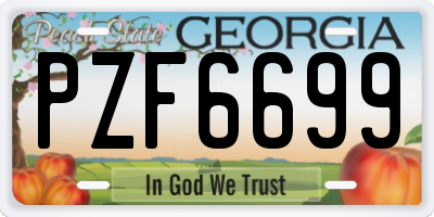 GA license plate PZF6699