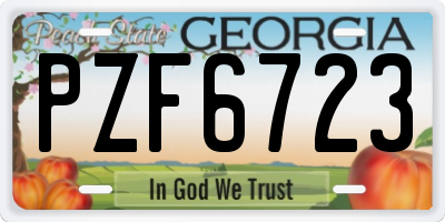 GA license plate PZF6723