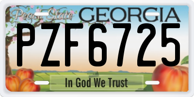 GA license plate PZF6725