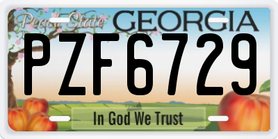 GA license plate PZF6729