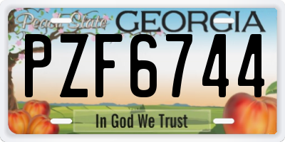 GA license plate PZF6744