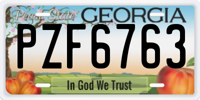 GA license plate PZF6763