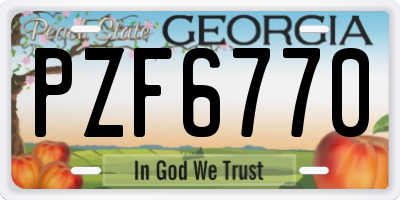GA license plate PZF6770