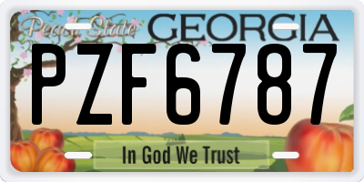 GA license plate PZF6787