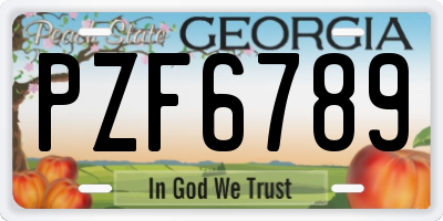 GA license plate PZF6789