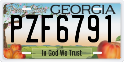 GA license plate PZF6791