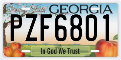 GA license plate PZF6801