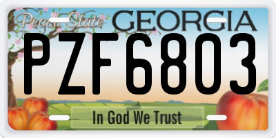 GA license plate PZF6803