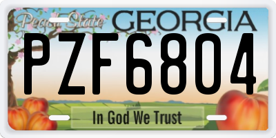 GA license plate PZF6804