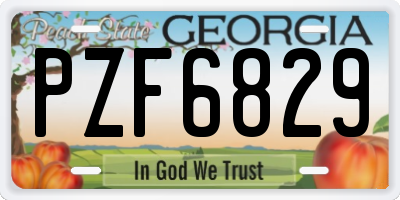 GA license plate PZF6829