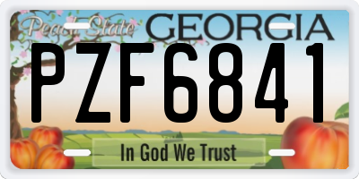 GA license plate PZF6841