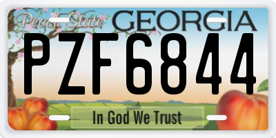 GA license plate PZF6844