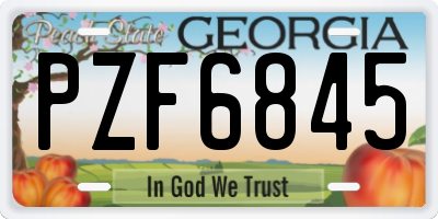 GA license plate PZF6845