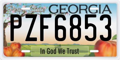 GA license plate PZF6853