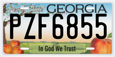 GA license plate PZF6855