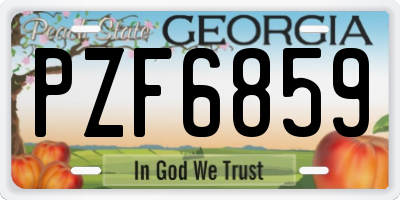 GA license plate PZF6859