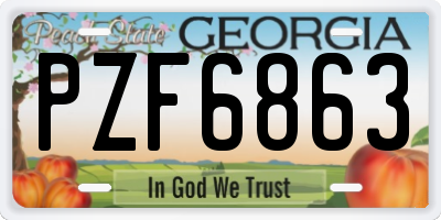 GA license plate PZF6863