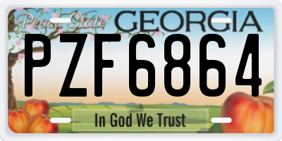 GA license plate PZF6864