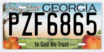 GA license plate PZF6865