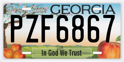 GA license plate PZF6867